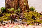 Display model represents nature